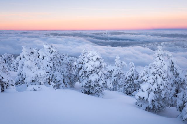 Vercors