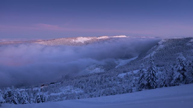 Vercors